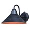 Vaxcel Outland 1 Light Dusk to Dawn Black Gold Farmhouse Barn Dome Outdoor Wall Lantern T0350 - alternate 1